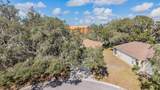 16501 Sandhill Crane Drive - Photo 42