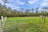 655 Appaloosa Road - Photo 13