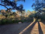 12118 Baytree Drive - Photo 48