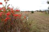 14780 Sugar Bowl Road - Photo 52