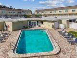 433 Paula Drive - Photo 74