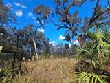  Higginson Road - Photo 8