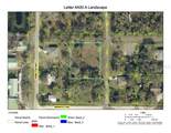 10416 Aurora Street - Photo 11