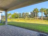32676 Tree Of Life Avenue - Photo 36