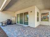 32676 Tree Of Life Avenue - Photo 38