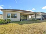 32676 Tree Of Life Avenue - Photo 40