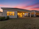 32676 Tree Of Life Avenue - Photo 41