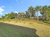 32676 Tree Of Life Avenue - Photo 42
