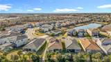 32676 Tree Of Life Avenue - Photo 44