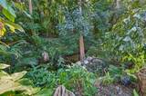 1581 Alexander Road - Photo 43