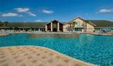 29335 Caddy Shack Lane - Photo 43