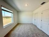 11374 Velvet Apricot Drive - Photo 14