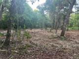 10117 Orland Street - Photo 4