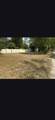 1014 Sitka Street - Photo 1