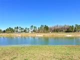 10844 Rolling Moss Road - Photo 60
