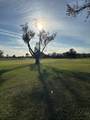1433 Emerald Hill Way - Photo 40