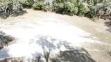 12510 Robinhood Road - Photo 1