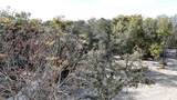 12510 Robinhood Road - Photo 9