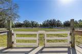 13717 Canterfield Drive - Photo 48