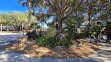 174 Appaloosa Trail - Photo 3