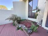 13516 Palmwood Lane - Photo 16