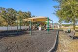 20817 Cedar Bluff Place - Photo 41