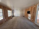 9514 Black Bear Drive - Photo 17