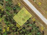12367 Sedan Road - Photo 1