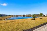 32623 Neroli Street - Photo 29