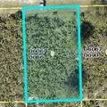 2605 70TH Street - Photo 10