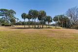 29244 Whipporwill Lane - Photo 41