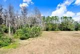  Tobacco Rd - Photo 13