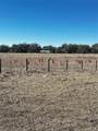  Cr 707 Road - Photo 3
