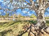 129 Camphor Circle - Photo 43