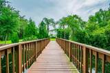 1745 Heron Cove Drive - Photo 54