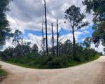  Coral Rock Drive - Photo 2