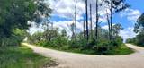  Coral Rock Drive - Photo 3