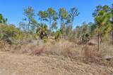 13588 Carousel Drive - Photo 5