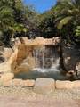 1708 Triano Circle - Photo 54
