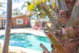 619 Garland Street - Photo 33
