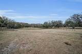 7230 Old Homestead Road - Photo 90