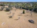 7230 Old Homestead Road - Photo 91