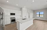 4835 Ivy Pearl Way - Photo 20
