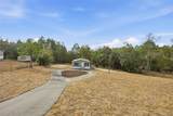25924 Whipperwill Street - Photo 4