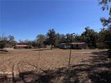 7647 Shannon Lane - Photo 32