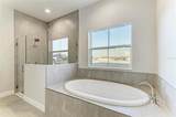 13442 Buffalo Mountain Avenue - Photo 8