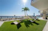2103 Bayshore Boulevard - Photo 53