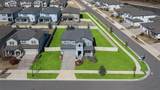 33287 Sycamore Leaf Drive - Photo 53