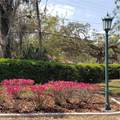 16013 Florida Avenue - Photo 17
