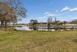 13747 Juniper Blossom Drive - Photo 38